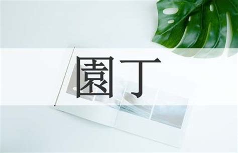 丁口 意思|丁口的意思